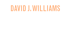 David J. Williams: The Mirrored Heavens